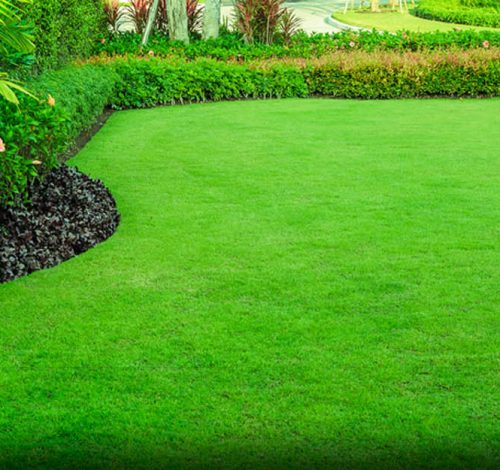 Basic-Lawn-Care-Tips-for-Homeowners-Cover-18-05